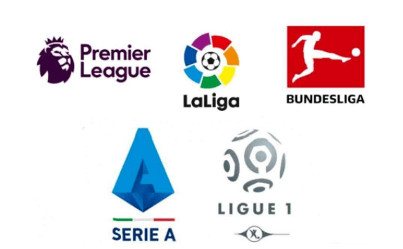 们心怀期待 们心怀期待